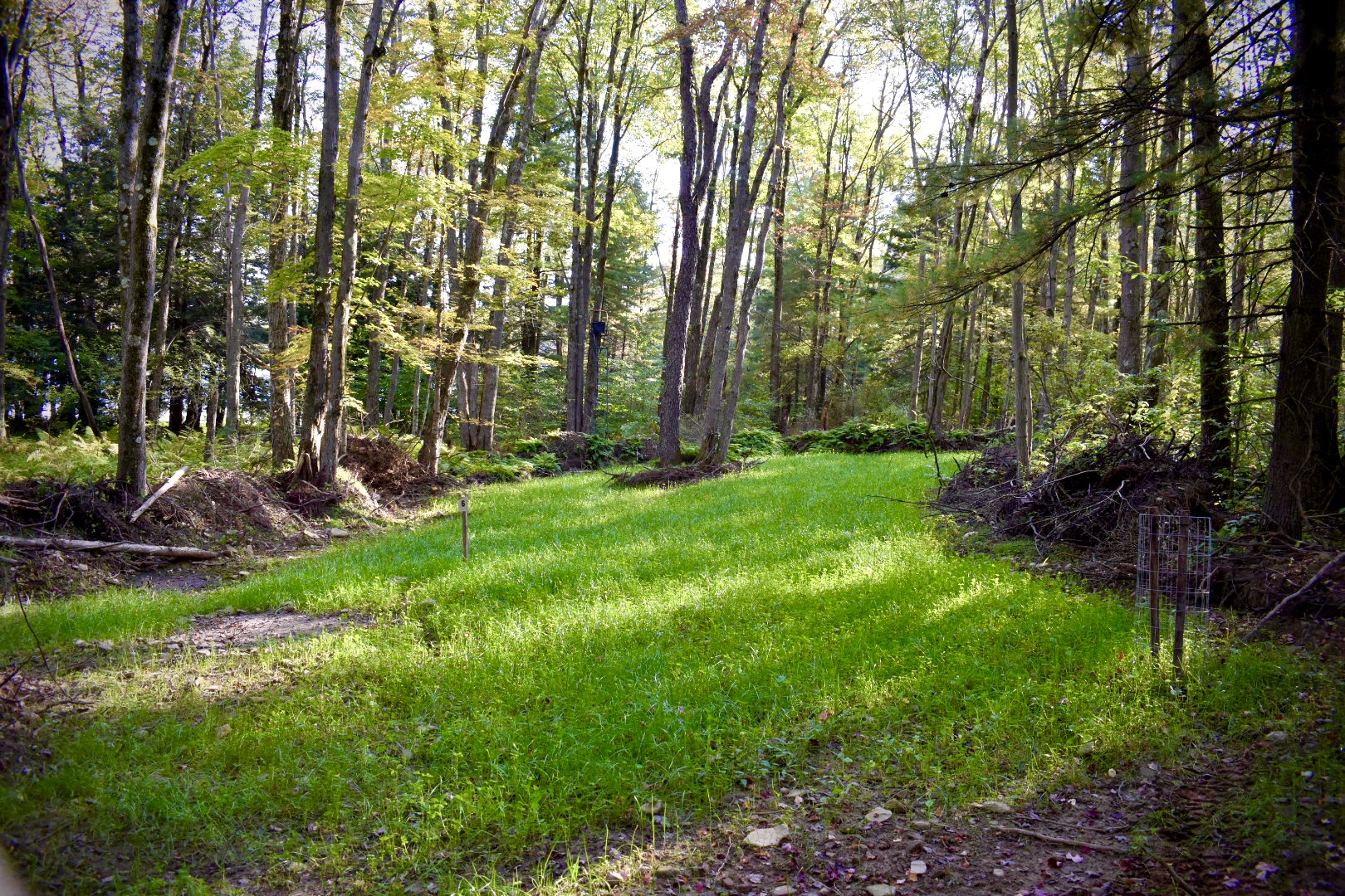 Food Plots